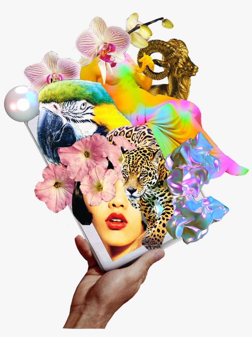 Final Presentation - Stunning Jaguar (pantera Onca) On The Prowl Journal, transparent png #4566429