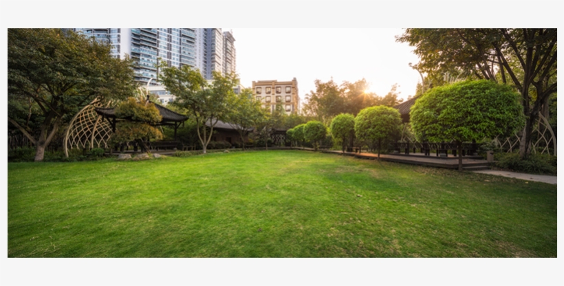 茵梦苑草坪lawn Of The Yinmengyuan Garden - Lawn, transparent png #4567033
