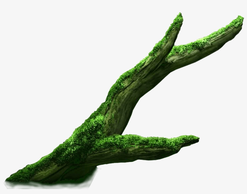 Parallax-clownfish - Illustration, transparent png #4568105