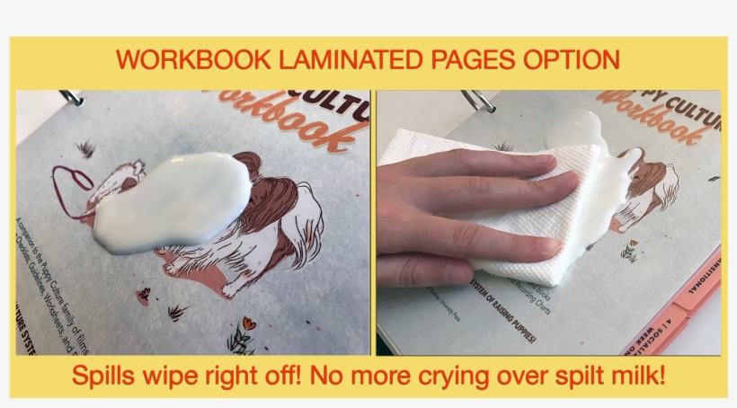 Video On Demand, transparent png #4568964