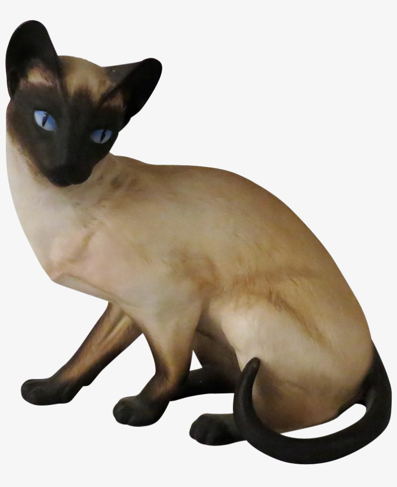 Anticipation Siamese Cat By Eric Tenney For Franklin - Siamese Cat Transparent Background, transparent png #4569189