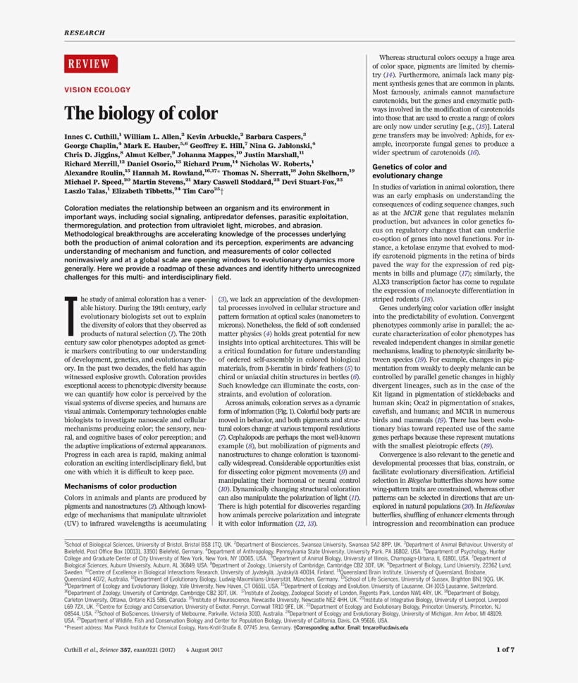 Folio Fifteen From Burchard Of Sion's De Locis Ac Mirabilibus, transparent png #4570367