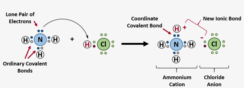 4 Formation Of Ammonium Chloride - Covalent Bond, transparent png #4570732