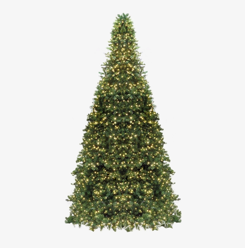 Quick View - Christmas Tree, transparent png #4571574