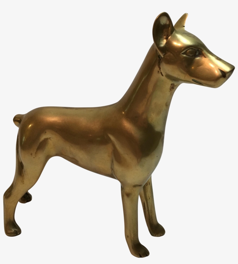 Dog, transparent png #4572940