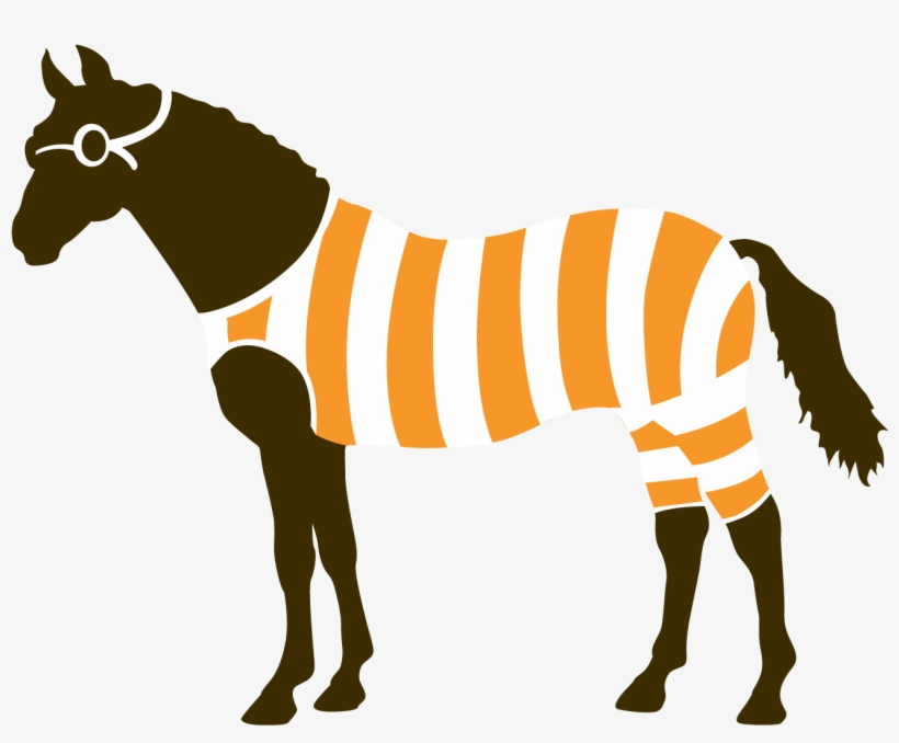 The Diving Horse - Eskadron Abschwitzdecke Fleece Highneck (heritage Hw, transparent png #4574528