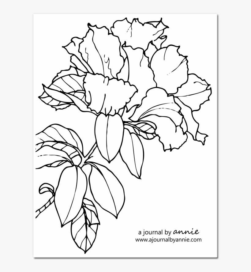 Png Black And White Library Sticker A Journal By - Royalty-free, transparent png #4575338