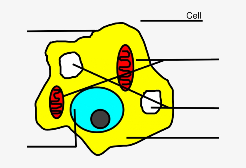 Easy Animal Cell, transparent png #4575387