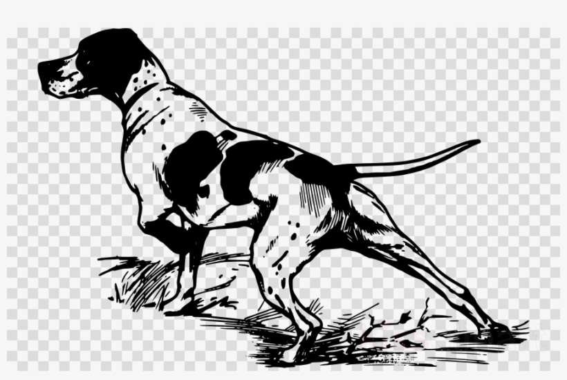 Hunting Dog Vector Clipart German Shorthaired Pointer - Bird Dog Clip Art, transparent png #4575829