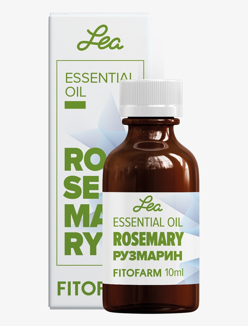 Rosemary Essential Oil Rosmarinus Officinalis - Prickly Pear Seed Oil (barbary Fig Seed Oil, Cactus, transparent png #4575867
