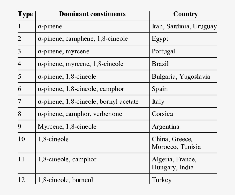 Classification Of Rosemary Oils - Document, transparent png #4576132
