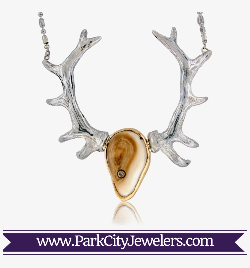 Elk Ivory European Mount Necklace - Elk Teeth Jewelry, transparent png #4579881