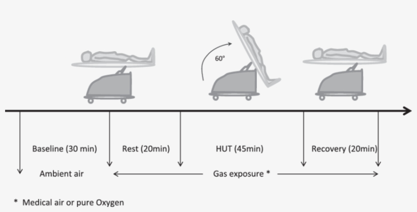 Study Protocol For Head-up Tilt Test - Head Up Tilt Test Hut, transparent png #4581396