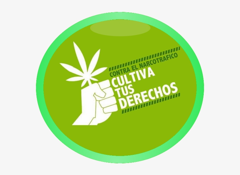 Narcotrafico Cultiva Tus Derechos, transparent png #4581622