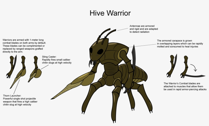 Post - Insect, transparent png #4581838