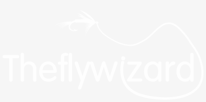 The Flying Wizard - Delaware Consulting Logo, transparent png #4582494