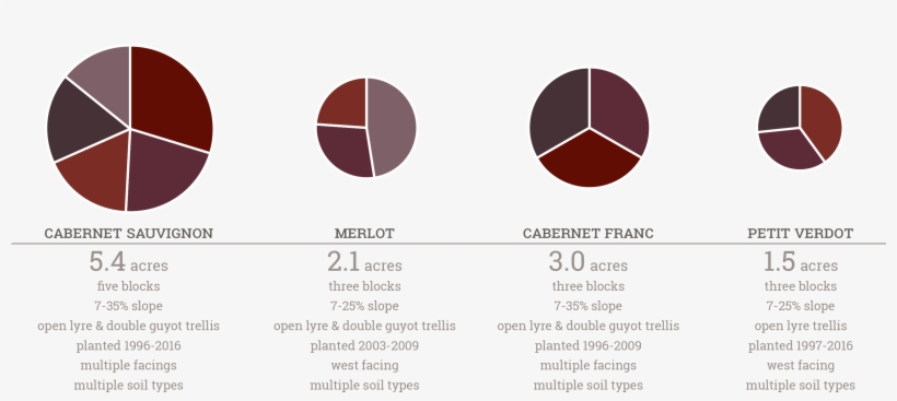 The Vines Are Cane Pruned And Trained To Both The Open - Circle, transparent png #4582849