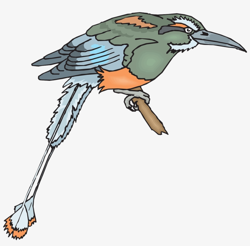Bird Branch Wings Beak Feathers Png Image - Bird, transparent png #4587732