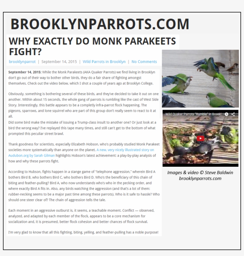 Posted On September 14, 2015 January 9, 2018 By Elizabeth - Tree, transparent png #4587882