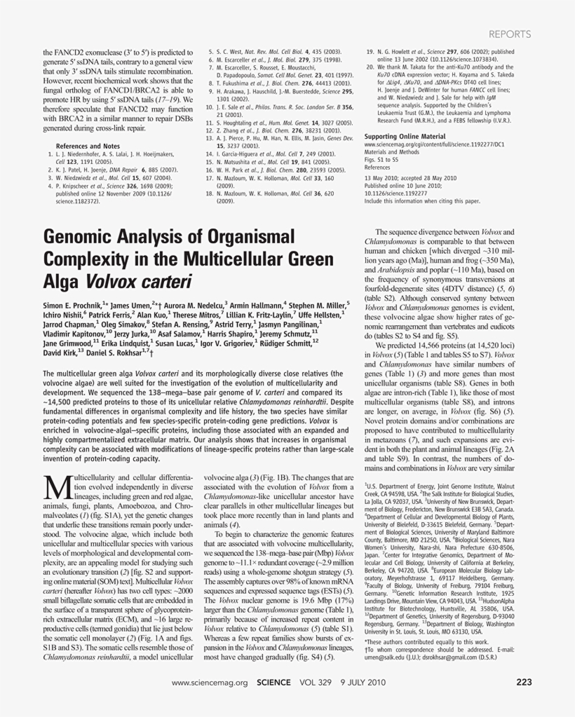 Discovery Of Achilles On Skyros, transparent png #4590070