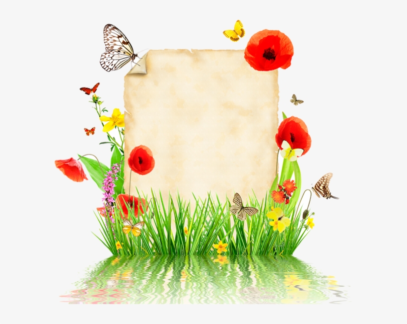 Parchemins Escalope Png, Borders For Paper, - Seelen Pflaster, Heike Wendler (buch) Romane &, transparent png #4590894