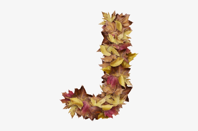 Letter J From Dry Leaves - Portable Network Graphics, transparent png #4591933