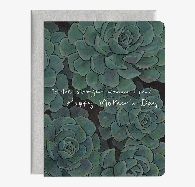 Strong Like Succulent - Echeveria, transparent png #4593394