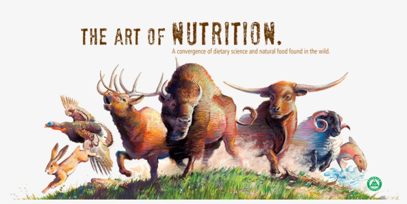 Works Of A Schizophrenic: Illness, transparent png #4596559