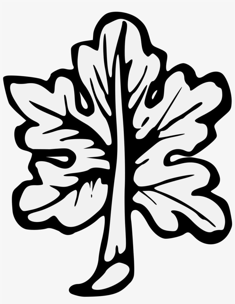 Details, Png - Common Fig, transparent png #461738