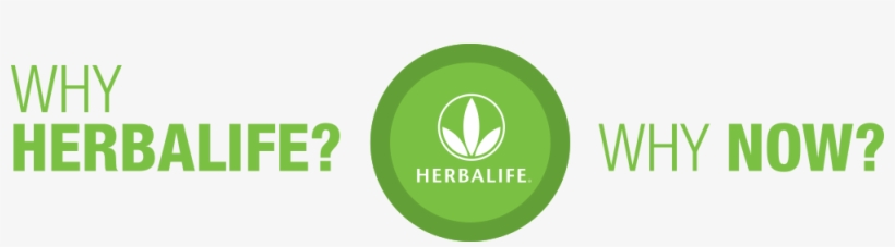 Why Herbalife, Why Now - Herbalife Transparent Png, transparent png #462219