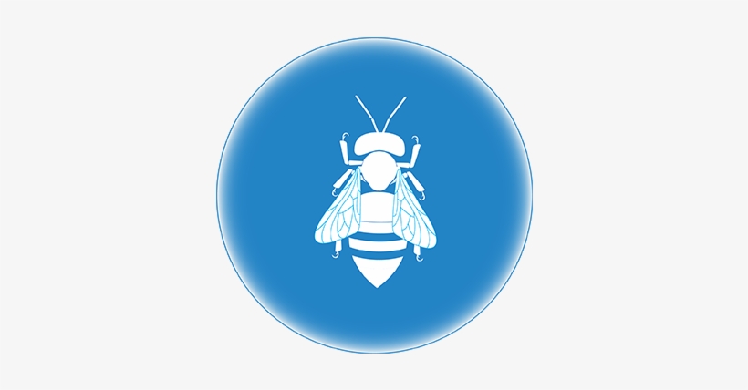 Swarm Algorithmic Logic - Encycle Corporation, transparent png #462477
