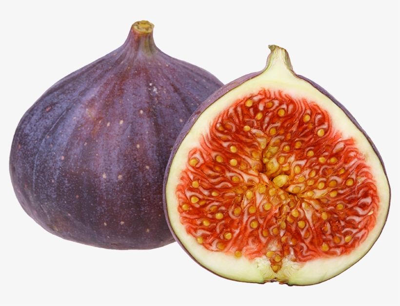 Common Fig, transparent png #462643