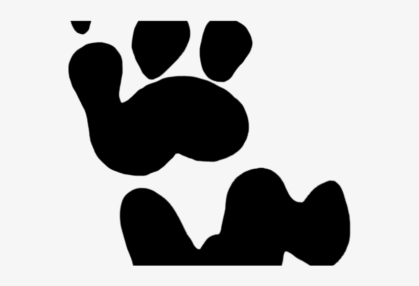Dog Paw Prints Clipart - Koala Bear Koala Footprint, transparent png #463224