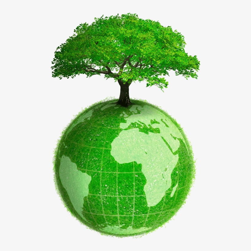Eco Friendly Products - Earth With Tree Png, transparent png #463744