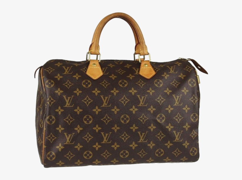 Large Dustbag Designed For Louis Vuitton Handbags - Magic Kingdom, transparent png #464684