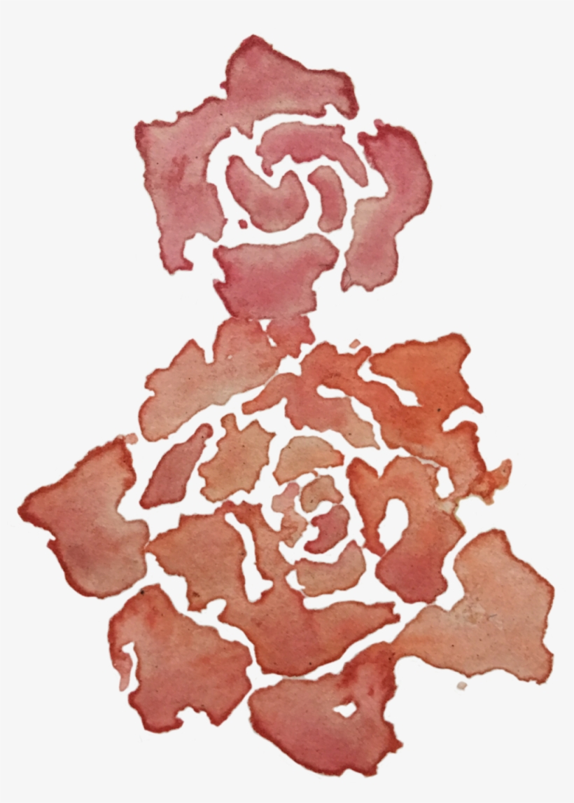 Img 3555, transparent png #464723