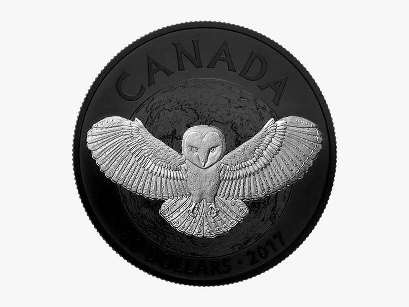 *nocturnal By Nature - 2017 Ca Barn Owl 1 Oz Silver Rhodium-plated Coin, transparent png #465056