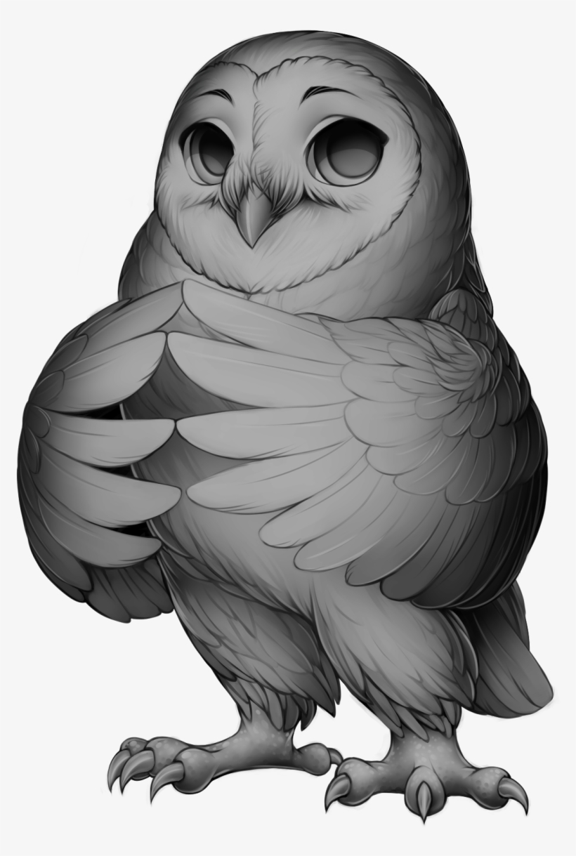 Barn Owl Base - Great Horned Owl Snowy Owl, transparent png #465177
