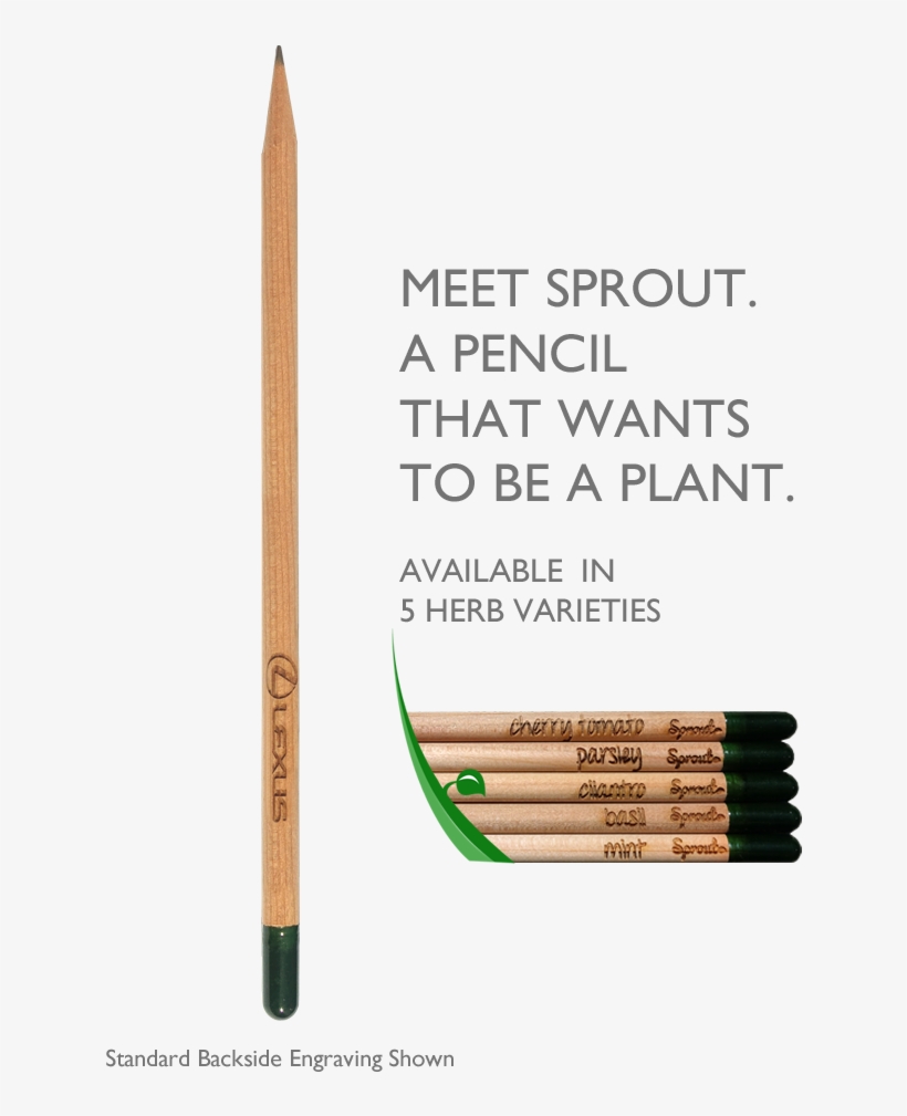 Sprout Pencil Eco Friendly - Eye Liner, transparent png #465286