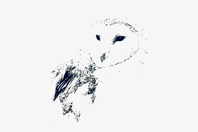 Barn Owl, transparent png #465388
