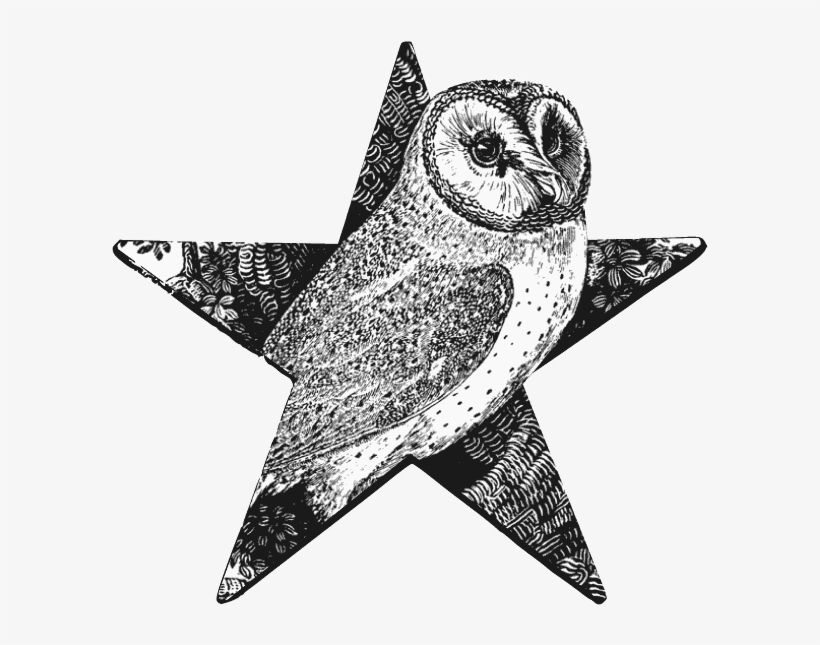 Barn Owl Barnstar - Wood Engraving, transparent png #465481