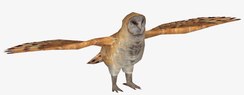 Barnowldacentrumaks - Barn Owl, transparent png #465529
