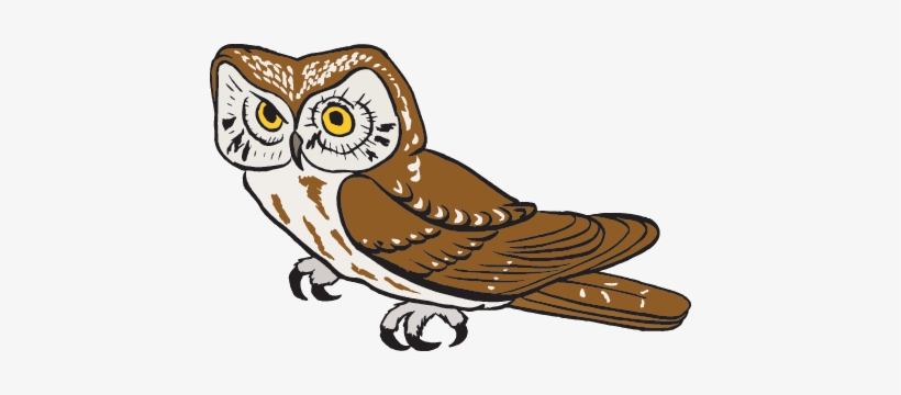 Visit This Site On Barn Owls In The United Kingdom - Science, transparent png #465547