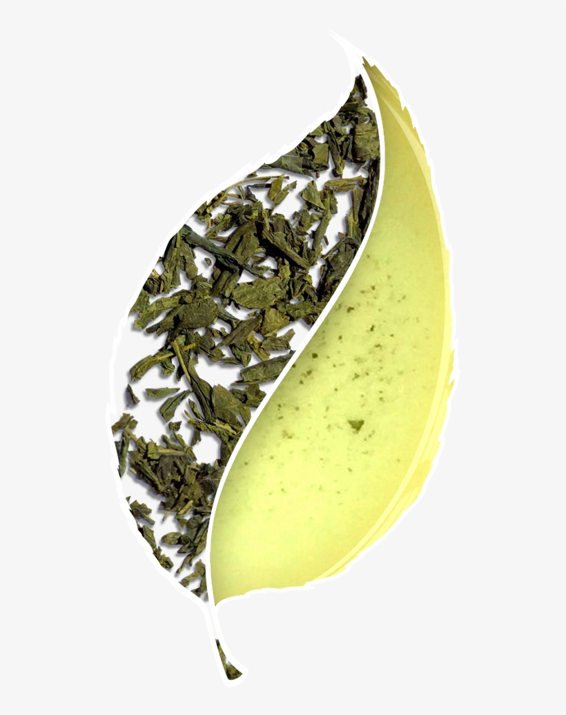 Bancha Green Tea - Tea, transparent png #465680