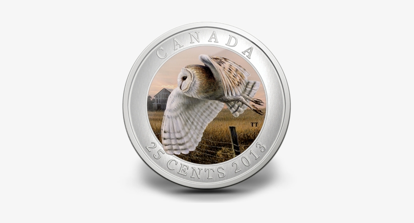 2013 25 Cent Coin - Barn Owl, transparent png #465704
