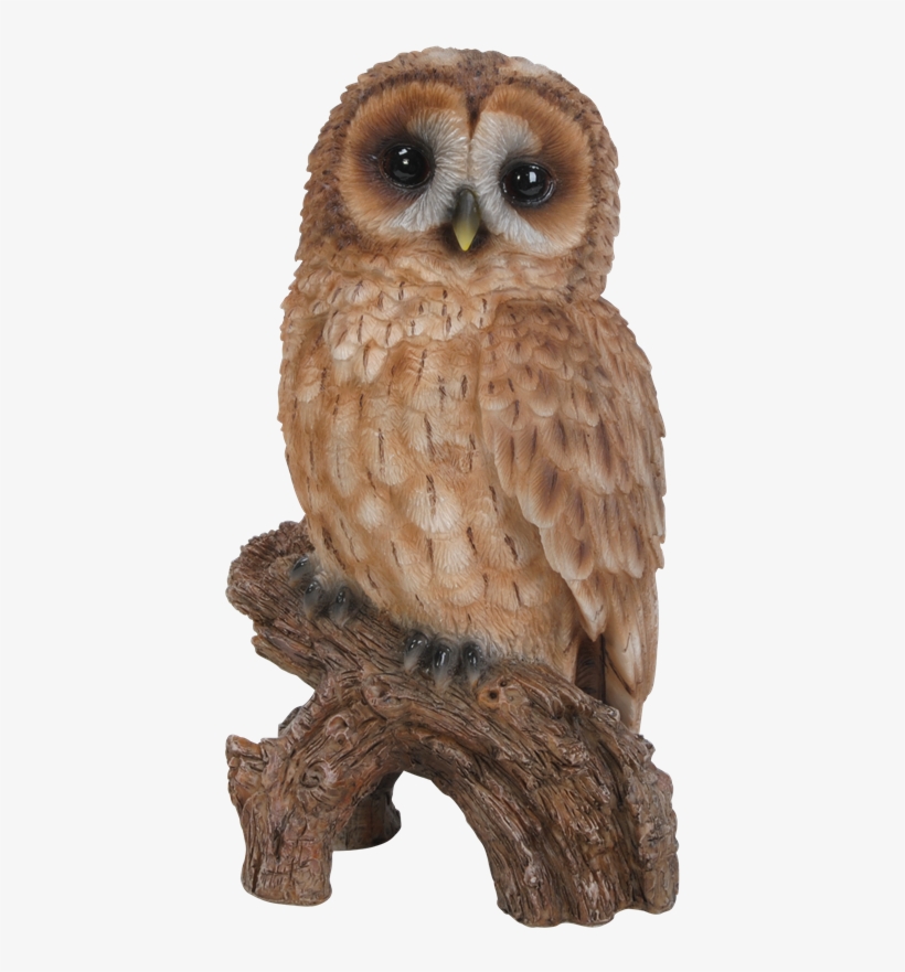 Clipart Free Stock Little Resin Garden Ornament Less - Hi-line Gift Ltd. Tawny Owl On Stump Statue, transparent png #465766