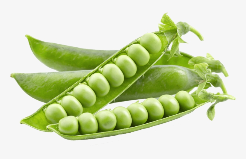 Free Png Pea Png Images Transparent - 豌豆 Png, transparent png #465839