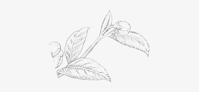 Mommy & Me & Tea - Sketch, transparent png #465942