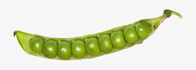 Download - Green Peas In A Pod, transparent png #465982
