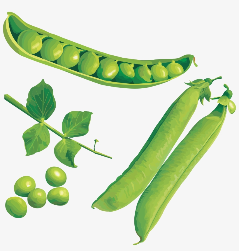 Peas Png, transparent png #466076